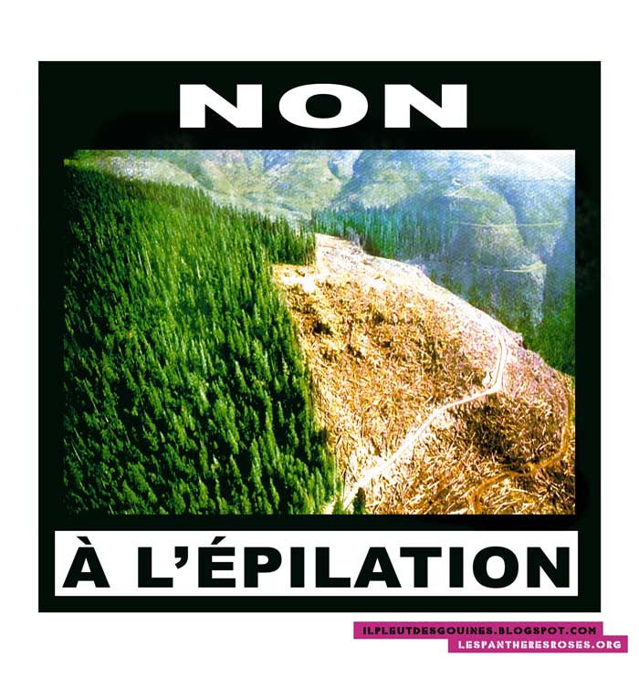 NON À L'ÉPILATION